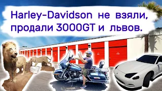 Harley-Davidson не взяли, продали 3000GT и львов.