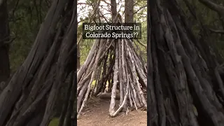 STRANGE STICK STRUCTURE DISCOVERED IN COLORADO SPRINGS?! | PIKES PEAK SASQAUTCH | CRYPTOZOOLOGY