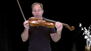 Two Bridge Comparison Evah Pirazzi Gold strings Soloist Violin for Harry