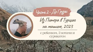 Едем из Питера в Грузию с животными и ребенком, 2023 - часть 2