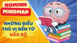 NHỮNG ĐIỀU THÚ VỊ ĐẾN TỪ NÃO BỘ| BIẾT NÓ SẼ HỌC NHANH HƠN