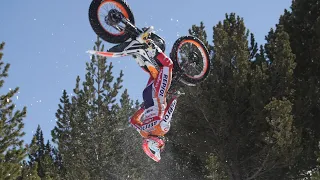 TONI BOU 2020 👑 THE TRIAL KING 👑