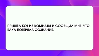 Две подруги беседуют🤣 Лучшие анекдоты, приколы и шутки до слёз!