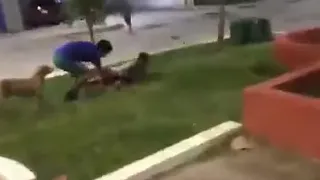 Kid Attacked By Huge Snake