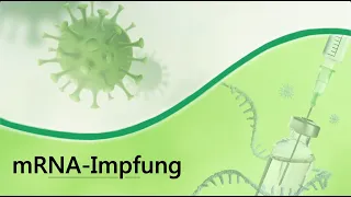 Wie funktioniert eigentlich eine mRNA-Impfung?