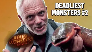 Deadliest Monsters #2 | COMPILATION | River Monsters