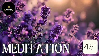 45 Minutes Music Meditation: Serenity in Bloom - Nature's Tranquil Symphony