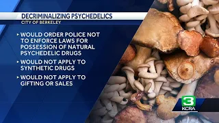 Berkeley considers decriminalizing some psychedelics
