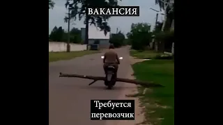 Вакансия Требуется перевозчик 😅