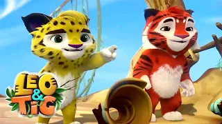 LEO and TIG 🦁 Summer fun 🌴🌞 Episodes collection 💚 Moolt Kids Toons Happy Bear