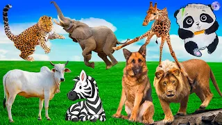 CUTE ANIMAL SOUNDS: Cow, Leopard, Elephant, Zebra, Dog, Giraffe, Panda, Lion