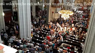 JKS 278 - Ó, láska, nádej, spása (Dóm sv. Alžbety)