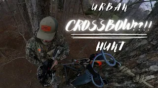 Ultra URBAN CROSSBOW(??!!!??) Late Season Hunt