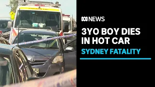 Three-year-old dies after reportedly being left in hot car in Sydney's south-west | ABC News