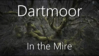 Dartmoor In the Mire