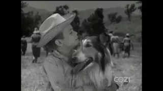Lassie - Episode #339 - "A Challenge for Lassie" - Season 10, Ep.16 - 01/19/1964