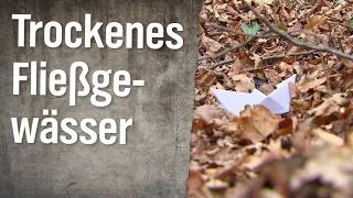 Realer Irrsinn: Trockenes Fließgewässer | extra 3 | NDR