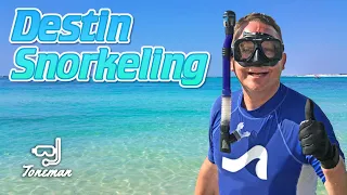 Destin Florida Snorkeling | Sea Turtles, Barracuda, Stingrays, Longnose Gar, Spadefish...
