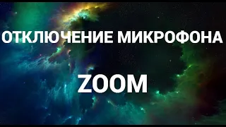 Как отключить микрофон в зум ( Zoom )