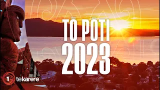 Tō Pōti 2023: What do pakihi Māori need from the next government?