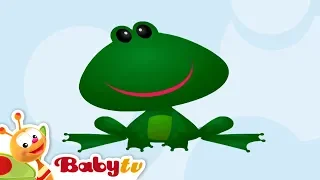 Frog 🐸  | Animal Sounds and Names for Kids & Toddlers @BabyTV