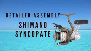 Fishing Reel SHIMANO Syncopate Detailed Assembly 2500FG