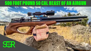 AEA Challenger Bullpup 50 Cal Review with 50 & 100 Yard Accuracy Test - & Exploding Watermelons!