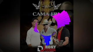 REMIX - CAMA FRIA - ANDRE E ANDRADE - RMX DJ RONY ESTRADA