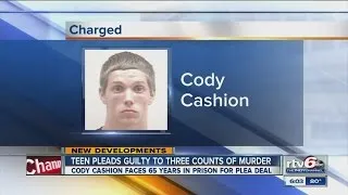 Teen pleads guilty to three counts of murder