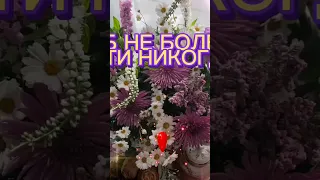 С Добрым Утром! Ну что Вам Пожелать Мои Друзья? Счастья и Удачи! 🩷💐