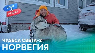 Орёл и Решка. Чудеса света 2 | Северное сияние (Норвегия)