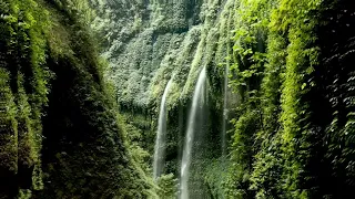 Huge waterfalls in the tropical jungle 💧 #tiktok #ahorts