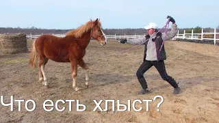 Учим коня не бояться хлыста. Клёвый.