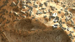 Las rocas más "nerviosas" de Marte en primer plano - Curiosity rover