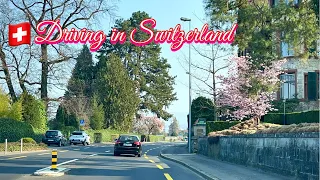 Driving in Switzerland | Zurich to Richterswil Road Trip | Spring session 2022 , Swiss View