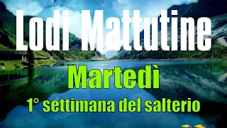 Lodi Mattutine, Martedì - 1° Settimana del Salterio