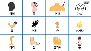 Parts Of The Body | Korean Vocabulary For Beginners