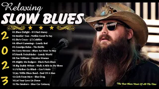 Slow Blues 2023 - Relaxing Blues Music | Best Blues Music Of All Time | Slow Blues / Blues Ballads