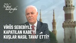 Virüs sebebiyle kapatılan Kabe'yi kuşlar tavaf etti - Nihat Hatipoğlu Dosta Doğru