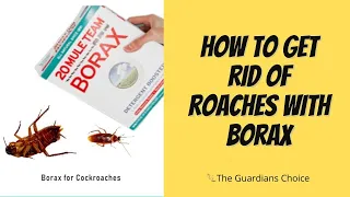 Roach Control with Borax: Effective Methods to Get Rid of Roaches - DIY Pest Control