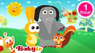 Jouer au football ⚽​ + plus de classiques de BabyTV 📺 | épisodes complets @BabyTVFR