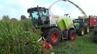 2023 Pelle chopping corn