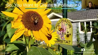 Deciding To Create a Pollinator Garden Is the Easy Step — What To Do Next?Matthew Shepherd