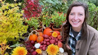 October Allotment Garden Update 2023