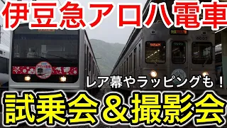 【伊豆急】一足早くアロハ電車に乗ってきた！試乗会＆撮影会