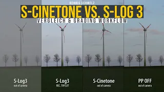 Keine Angst vor S-Log 3: Grading Workflow & Vergleich mit S-Cinetone (Update Sony A7S III | FX3)