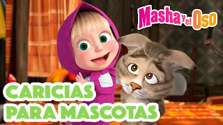 Masha y el Oso 🐻👱‍♀️ Caricias para mascotas😸 Dibujos animados 🎬😁 Masha and the Bear