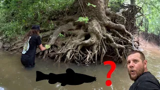 How to find GIANT FISH in TINY CREEKS!! Our 2nd Creek Adventure of the Year!! (Tiebreaker Video)