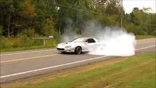 Camaro SS 408ci burnout!