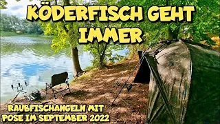 Raubfischangeln auf Hecht Barsch und Co. mit Totem Köderfisch . Erfolgreich im September 2022